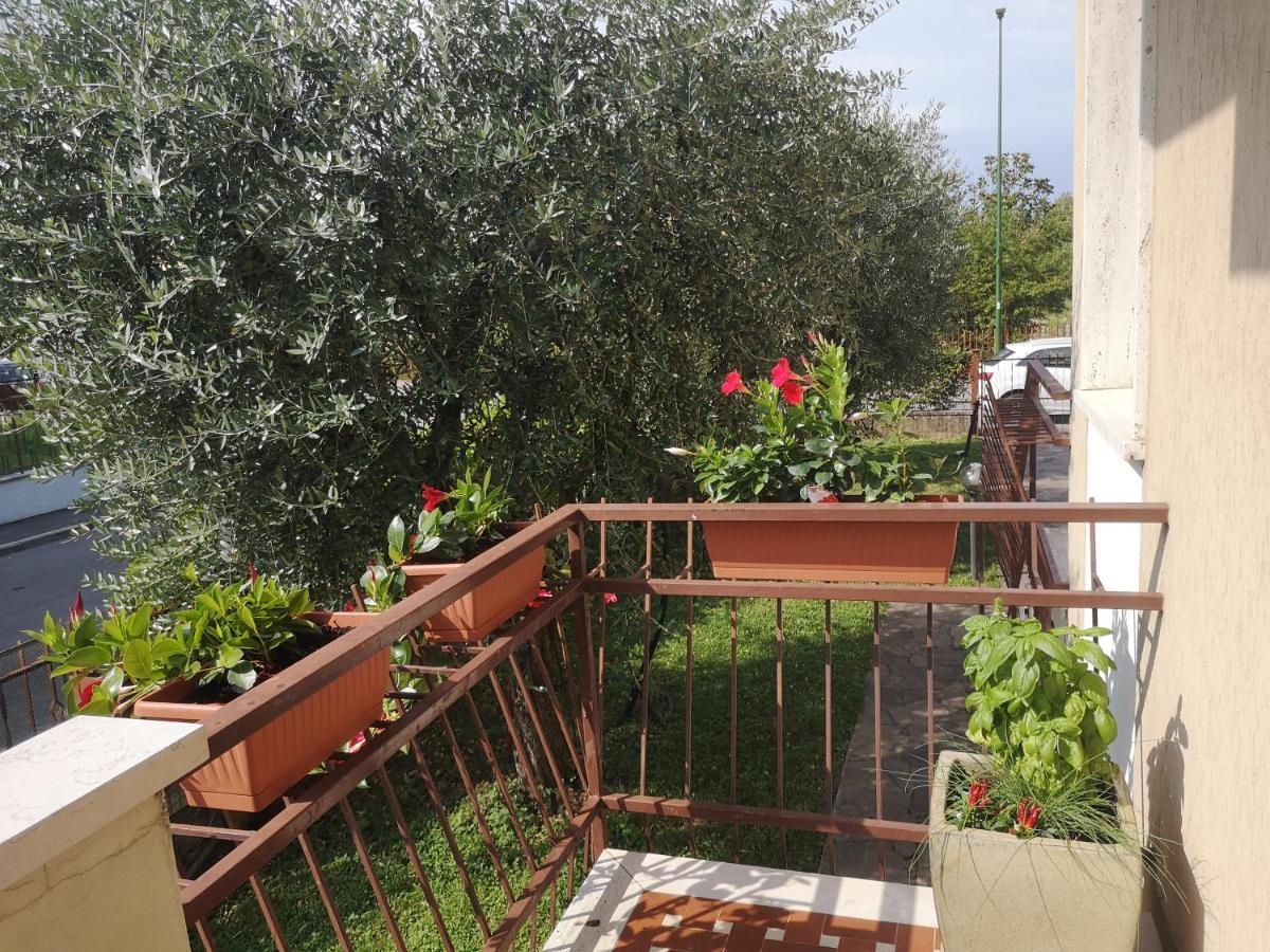 Ai Quattro Ulivi Apartment Peschiera del Garda Ngoại thất bức ảnh