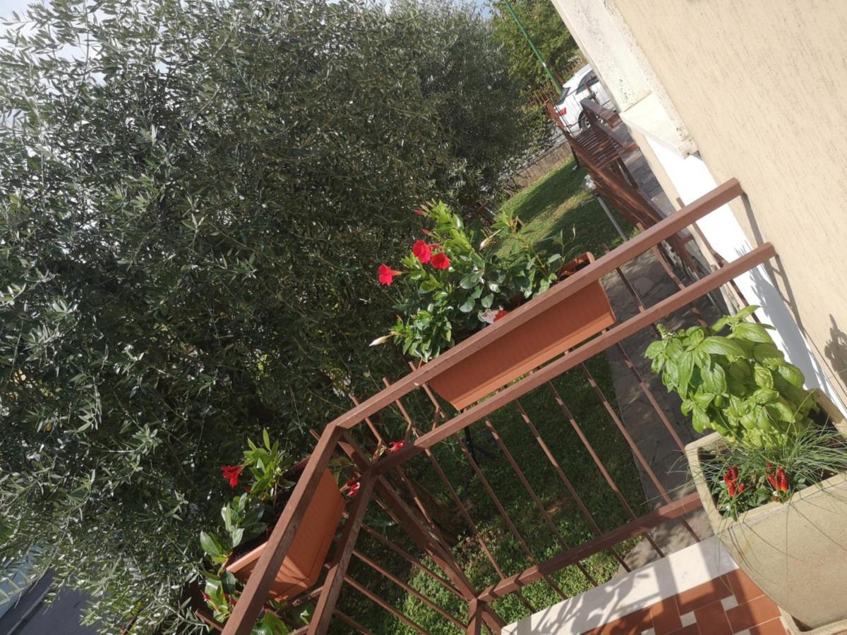 Ai Quattro Ulivi Apartment Peschiera del Garda Ngoại thất bức ảnh