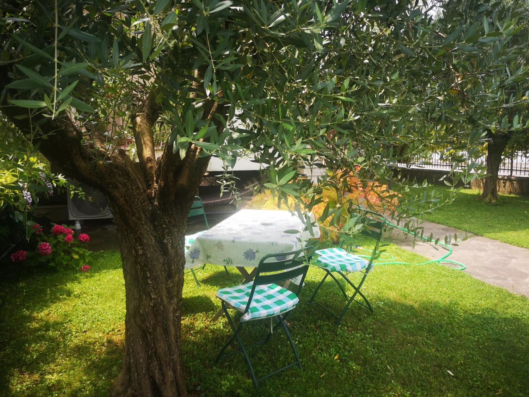 Ai Quattro Ulivi Apartment Peschiera del Garda Ngoại thất bức ảnh